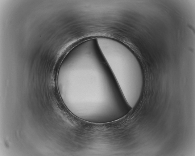 X0000099530628200805160726
