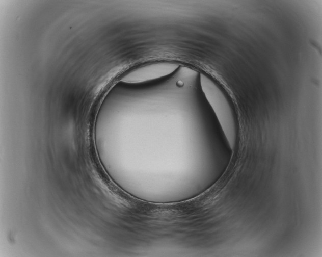 X0000099530629200805160726