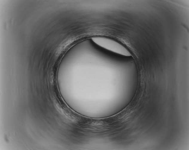 X0000099530631200805160726