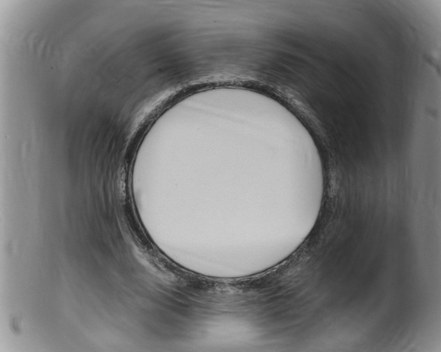 X0000099530632200805160726
