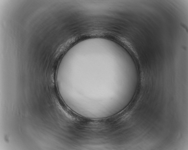 X0000099530633200805160726