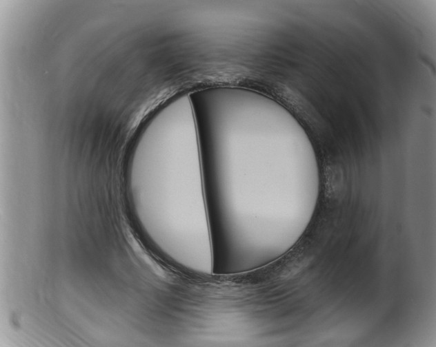 X0000099530634200805160726