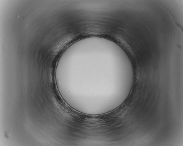 X0000099530635200805160726