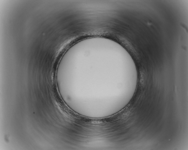 X0000099530636200805160726