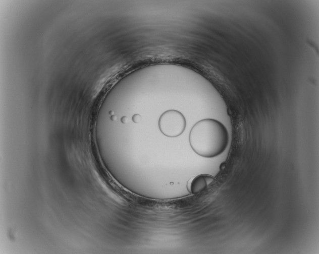 X0000099530638200805160726