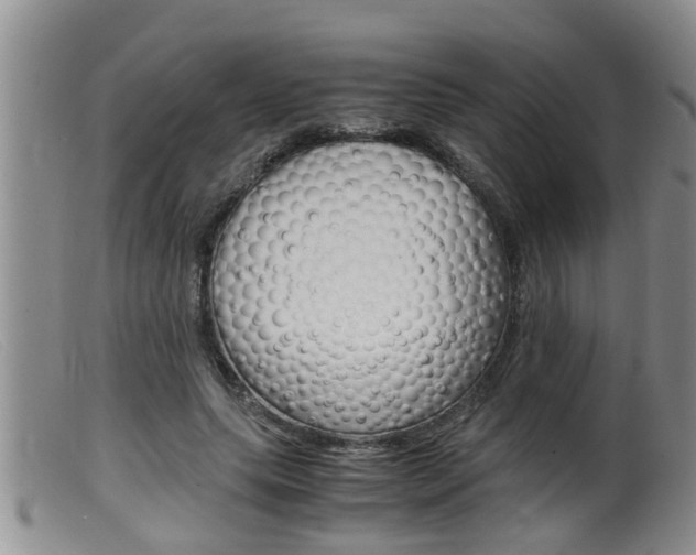 X0000099530639200805160726