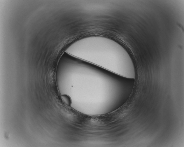 X0000099530641200805160726