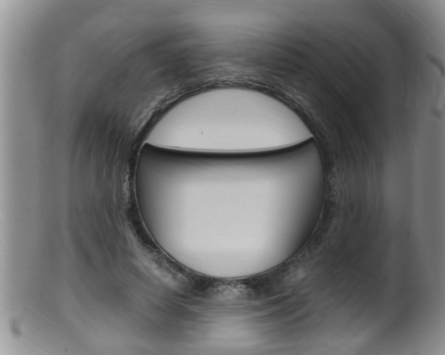 X0000099530642200805160726
