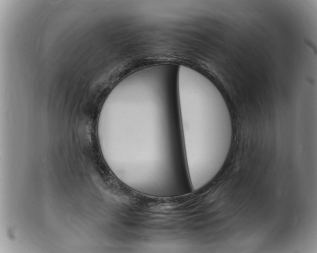 X0000099530643200805160726
