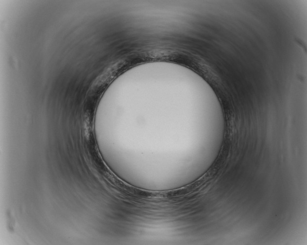 X0000099530644200805160726