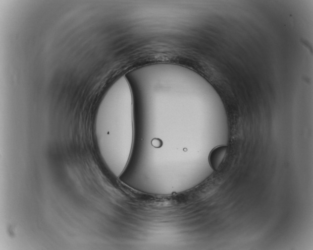 X0000099530646200805160726
