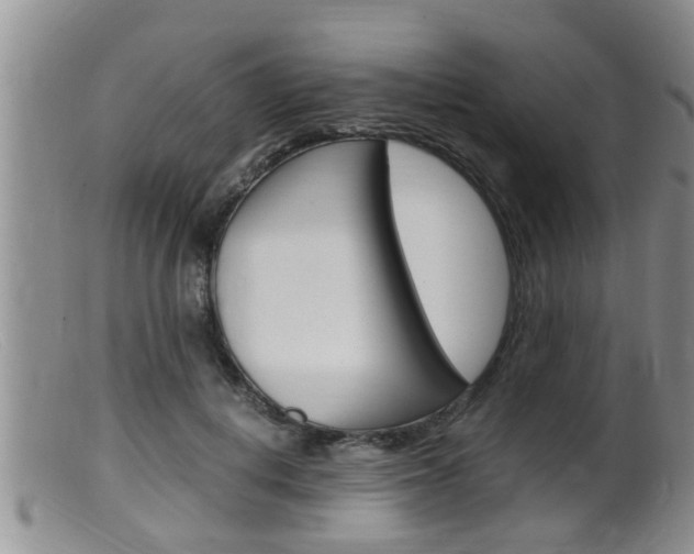 X0000099530648200805160726