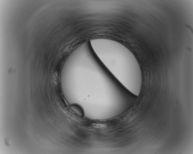 X0000099530649200805160726