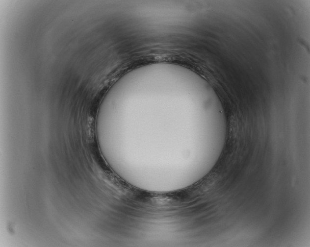 X0000099530650200805160726