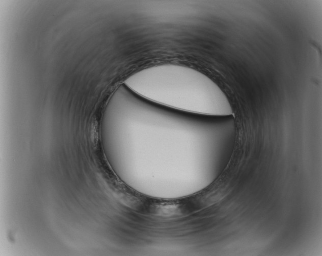 X0000099530651200805160726