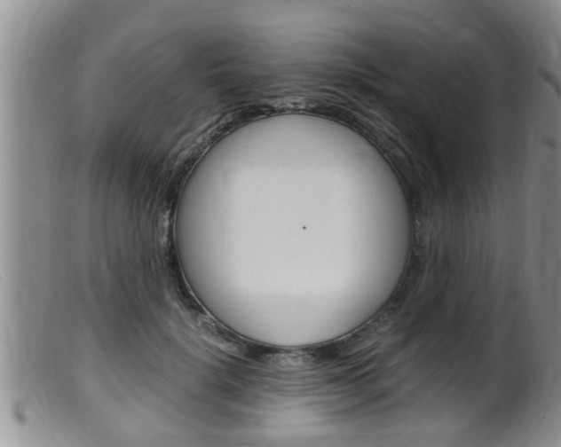X0000099530652200805160726