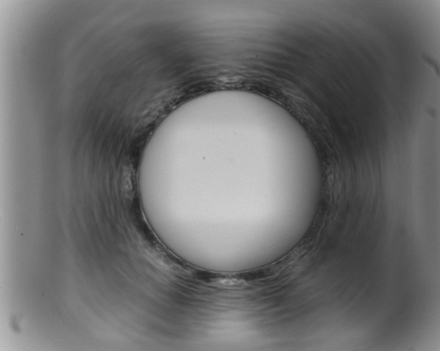 X0000099530654200805160726