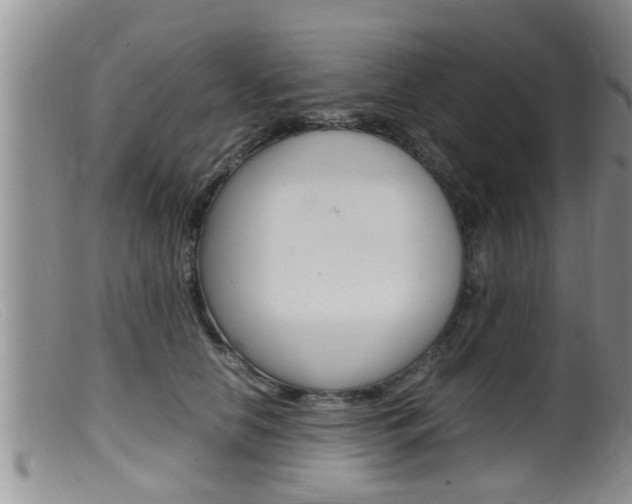 X0000099530658200805160726