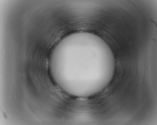 X0000099530660200805160726