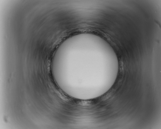 X0000099530664200805160726
