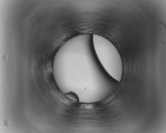 X0000099530665200805160726