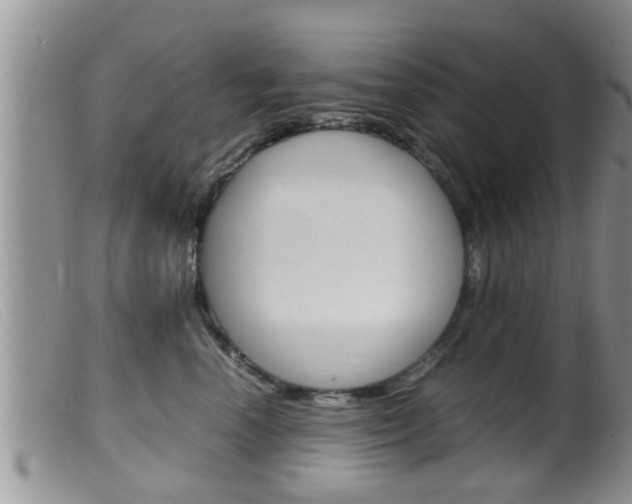 X0000099530666200805160726