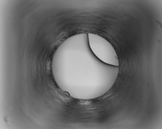 X0000099530667200805160726