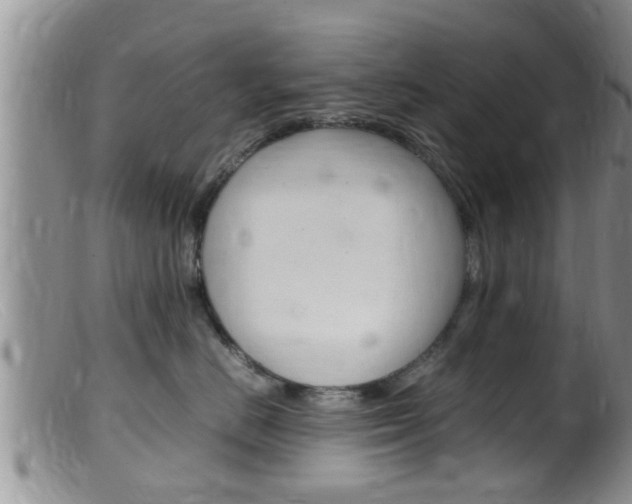 X0000099530670200805160726