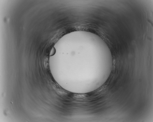 X0000099530671200805160727