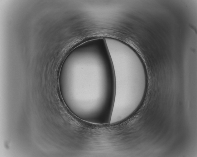 X0000099530673200805160726