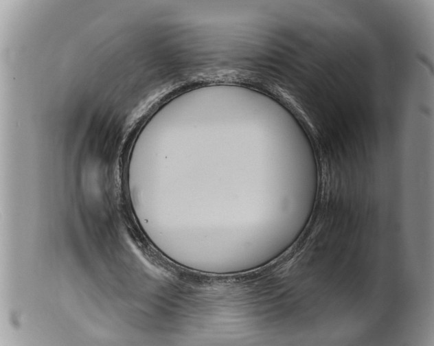 X0000099530674200805160726