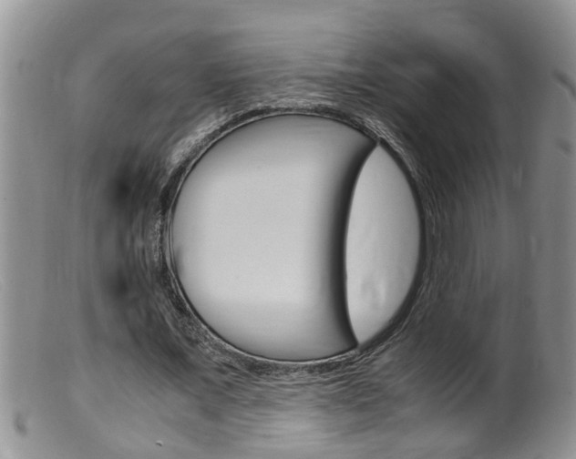 X0000099530675200805160726
