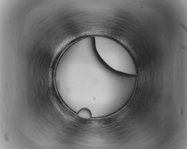 X0000099530678200805160726