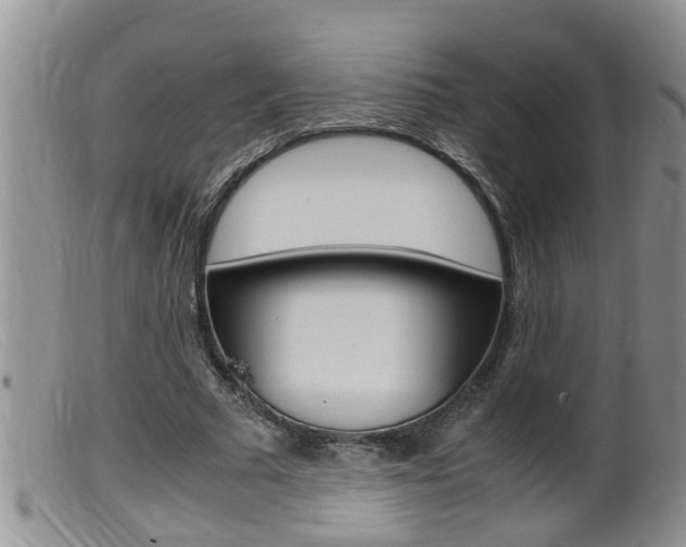 X0000099530681200805160726