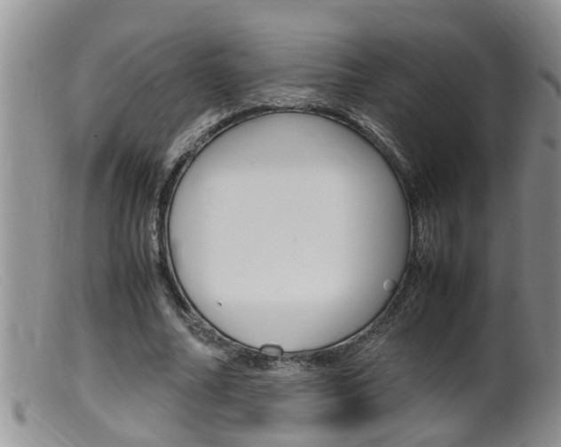 X0000099530682200805160726