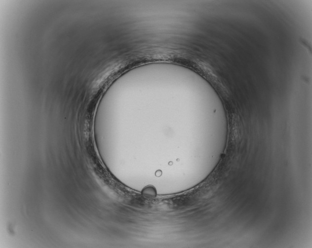 X0000099530683200805160726