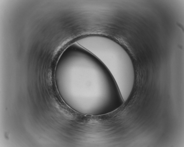 X0000099530684200805160726