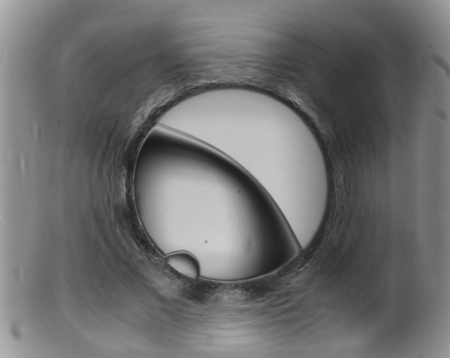 X0000099530685200805160726