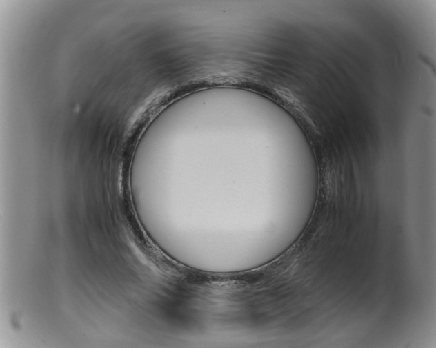 X0000099530686200805160726