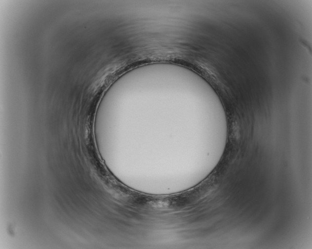 X0000099530687200805160725
