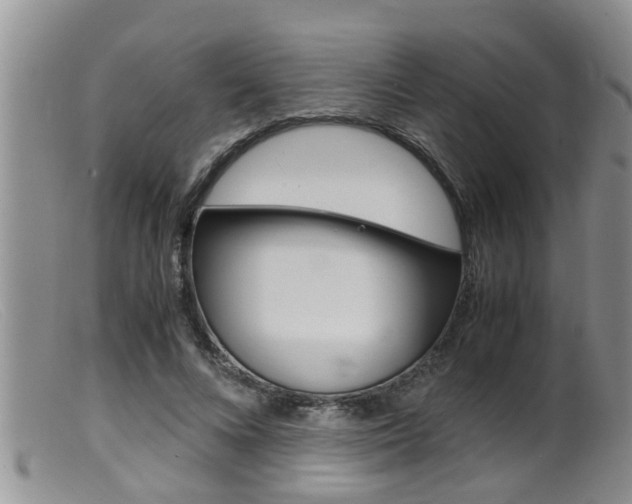 X0000099530688200805160725