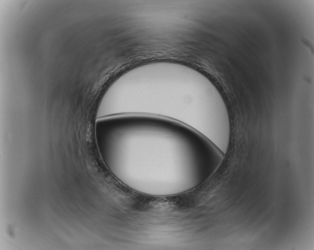 X0000099530689200805160725