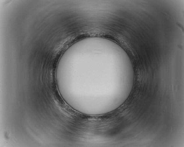X0000099530690200805160725