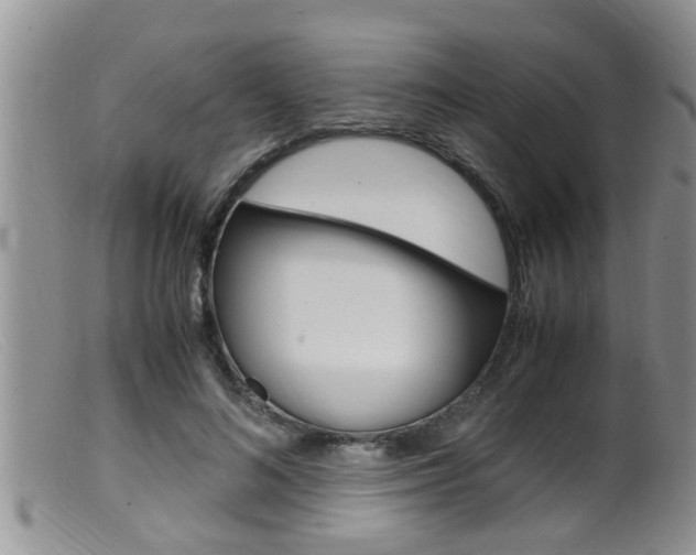 X0000099530692200805160725
