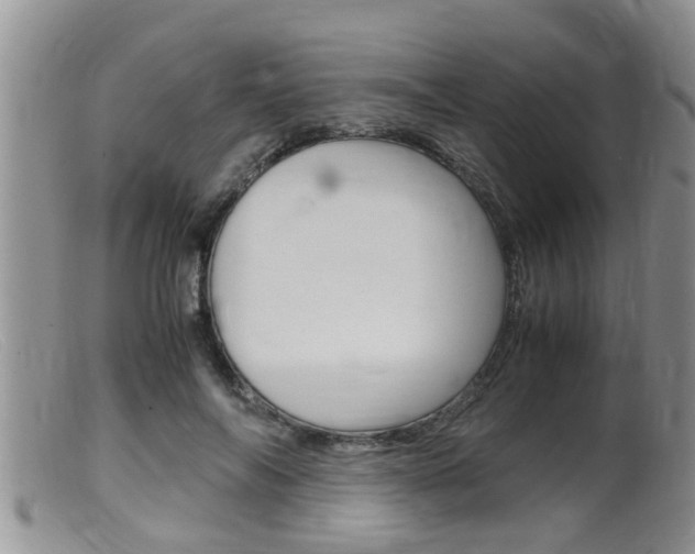 X0000099530694200805160725