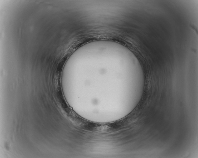 X0000099530695200805160725
