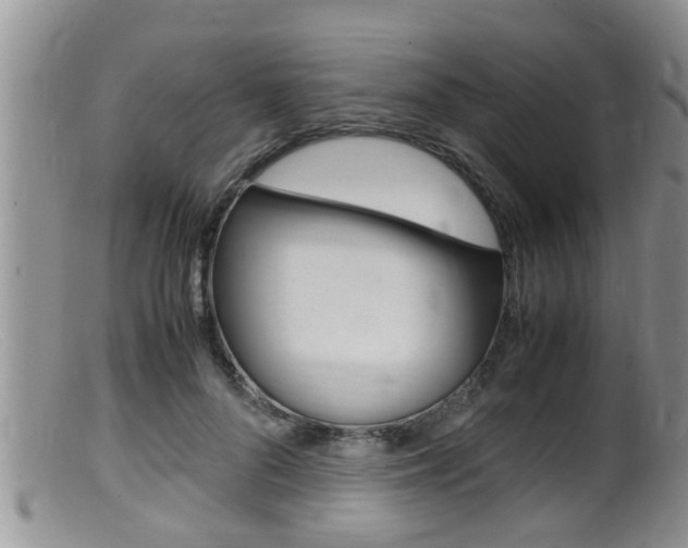 X0000099530696200805160725