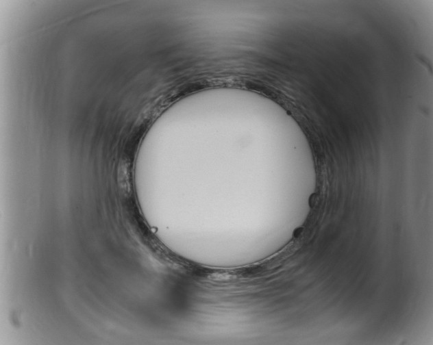 X0000099530699200805160725
