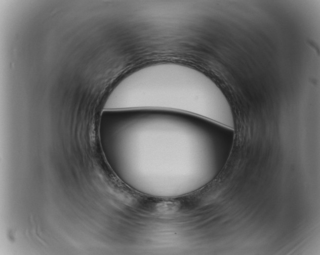 X0000099530700200805160725