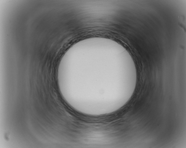 X0000099530701200805160725